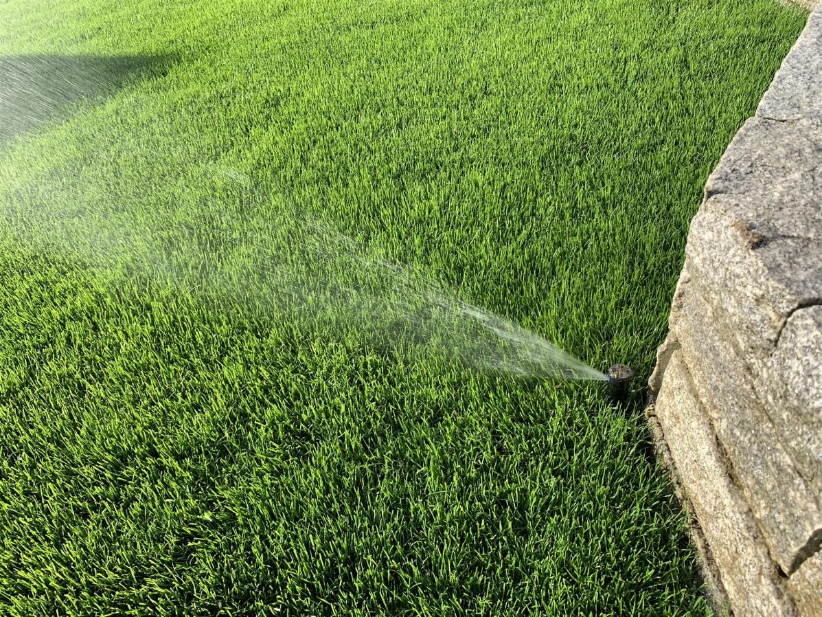 Gartenbwässerung mit Versenkregner